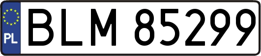 BLM85299