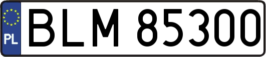 BLM85300
