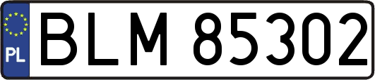 BLM85302