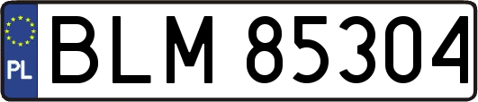 BLM85304