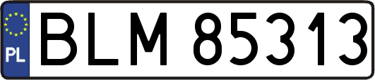 BLM85313