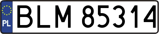 BLM85314