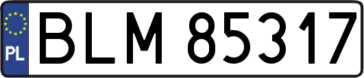BLM85317