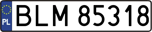 BLM85318