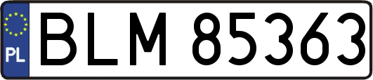 BLM85363