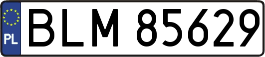 BLM85629