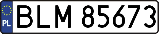 BLM85673
