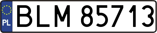 BLM85713