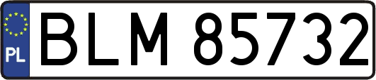 BLM85732