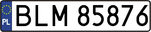 BLM85876