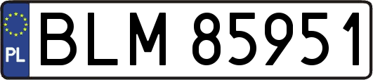 BLM85951