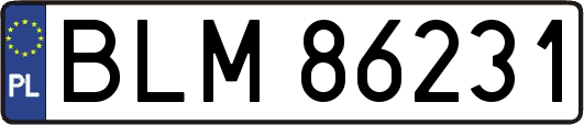 BLM86231