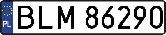 BLM86290