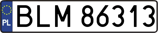 BLM86313
