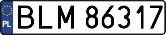 BLM86317