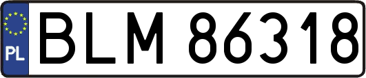 BLM86318