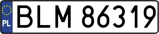 BLM86319