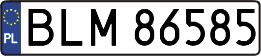 BLM86585