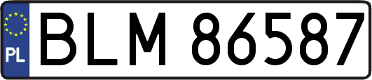 BLM86587