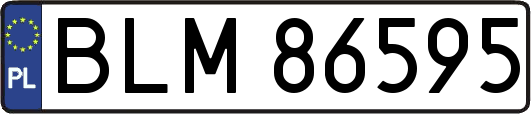 BLM86595