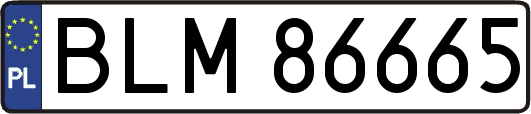 BLM86665