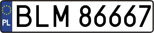BLM86667
