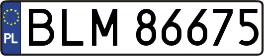 BLM86675