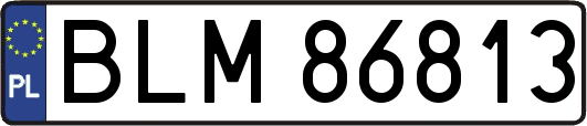 BLM86813