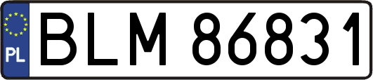 BLM86831