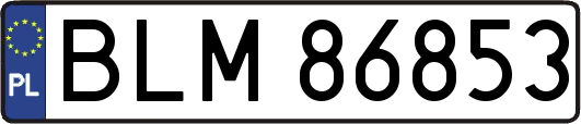 BLM86853