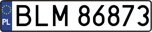 BLM86873