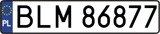 BLM86877