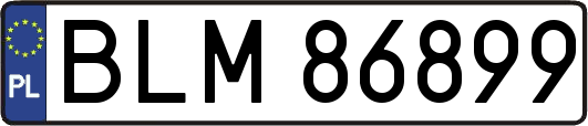 BLM86899