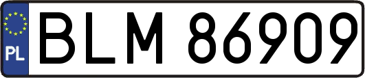 BLM86909