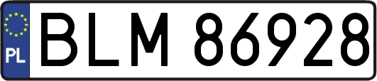 BLM86928