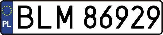 BLM86929