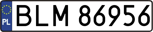 BLM86956