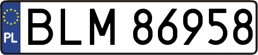 BLM86958