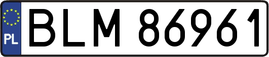 BLM86961