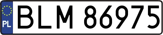 BLM86975