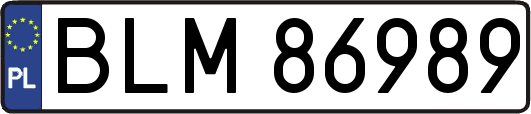 BLM86989