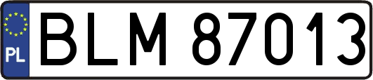 BLM87013