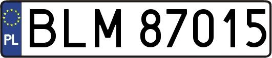 BLM87015