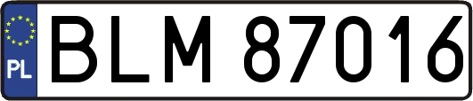 BLM87016