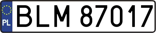 BLM87017