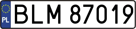 BLM87019