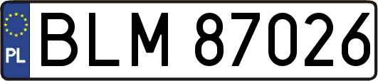 BLM87026