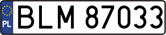 BLM87033