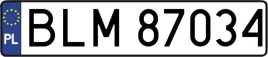 BLM87034
