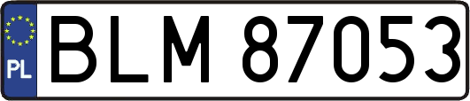 BLM87053